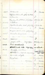 file details