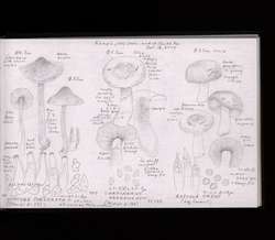 file details