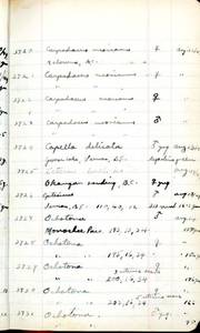 file details