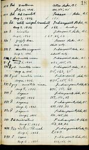 file details