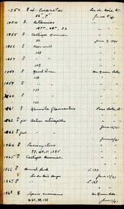 file details