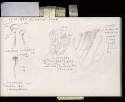 file details