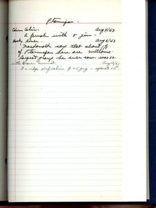 file details