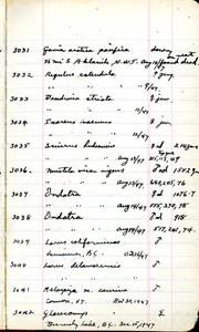 file details