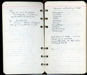 file details