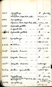 file details