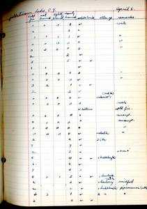 file details