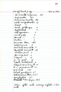 file details