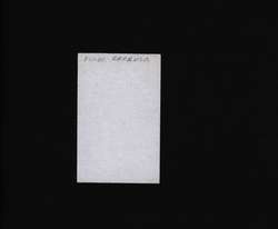 file details