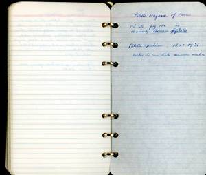 file details
