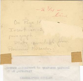 file details
