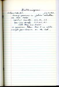 file details