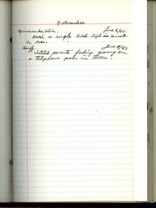 file details