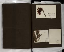 file details