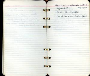 file details