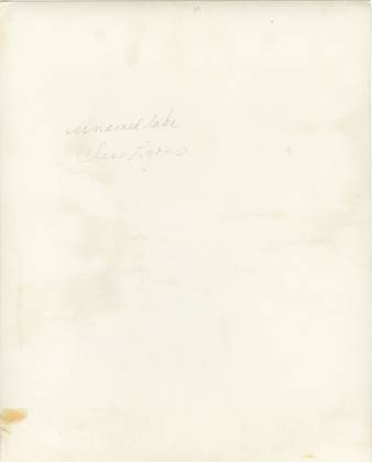 file details