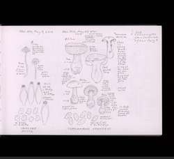 file details