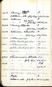 file details