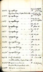 file details