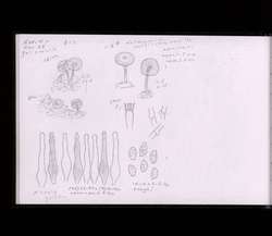 file details