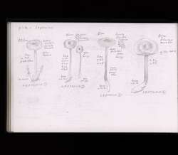file details