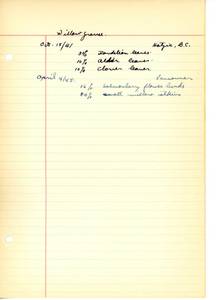 file details