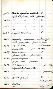 file details