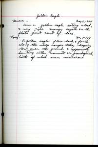 file details