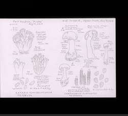 file details