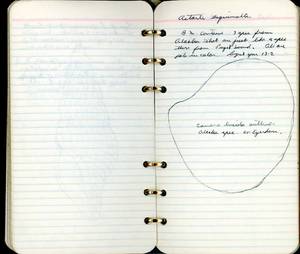 file details