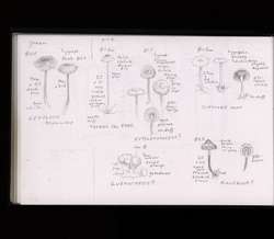 file details