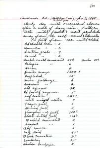 file details