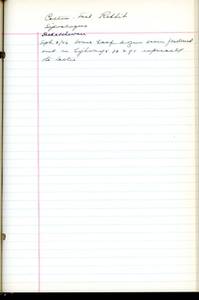 file details