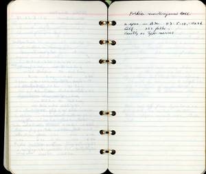 file details