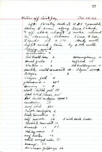 file details