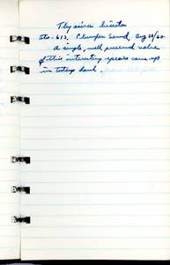 file details