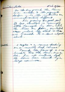 file details
