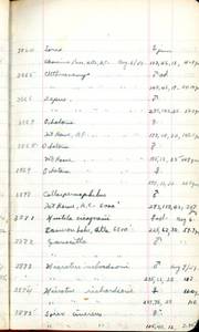 file details