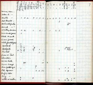 file details