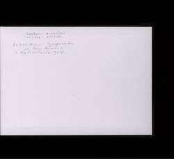 file details