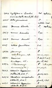 file details