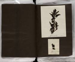 file details