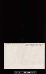 file details