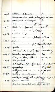 file details