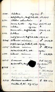 file details