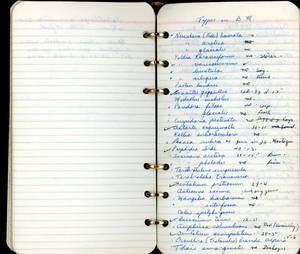 file details