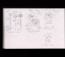 file details
