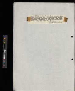 file details