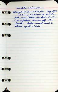 file details