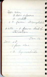 file details